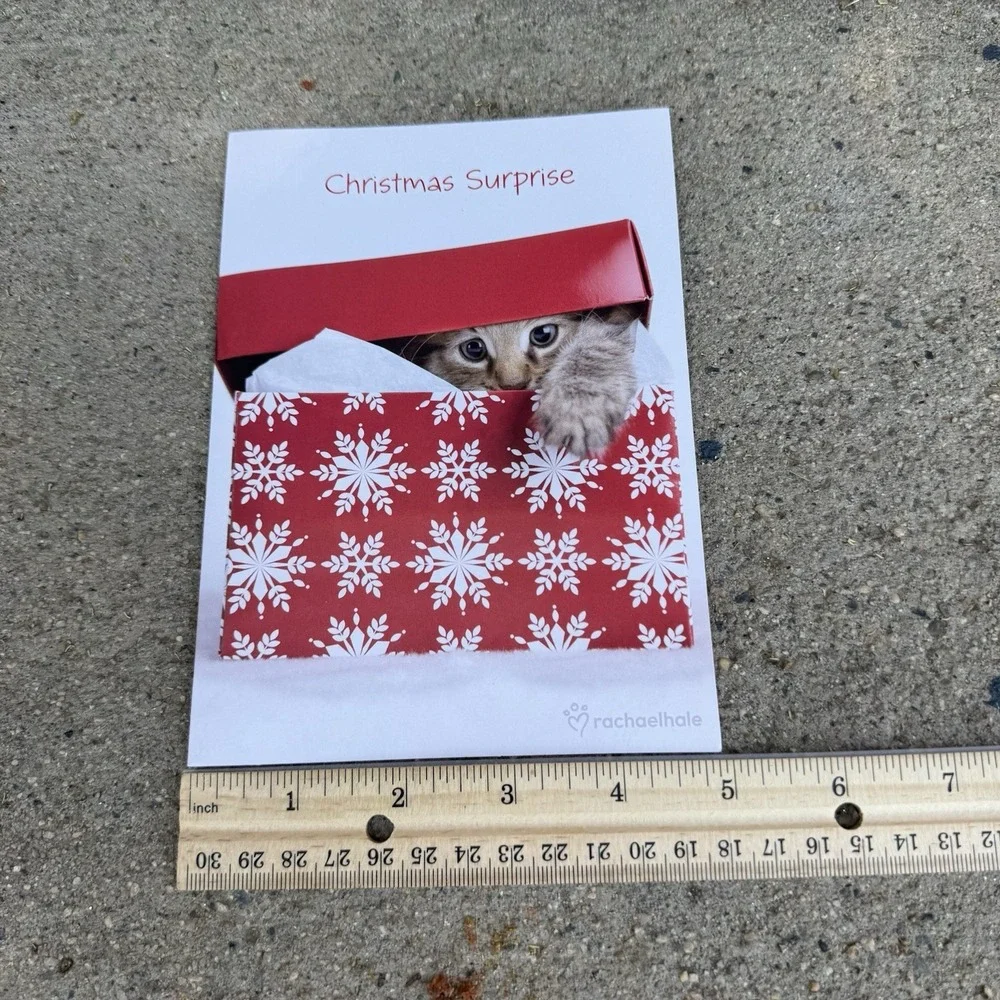 The Unbranded Brand christmas surprise